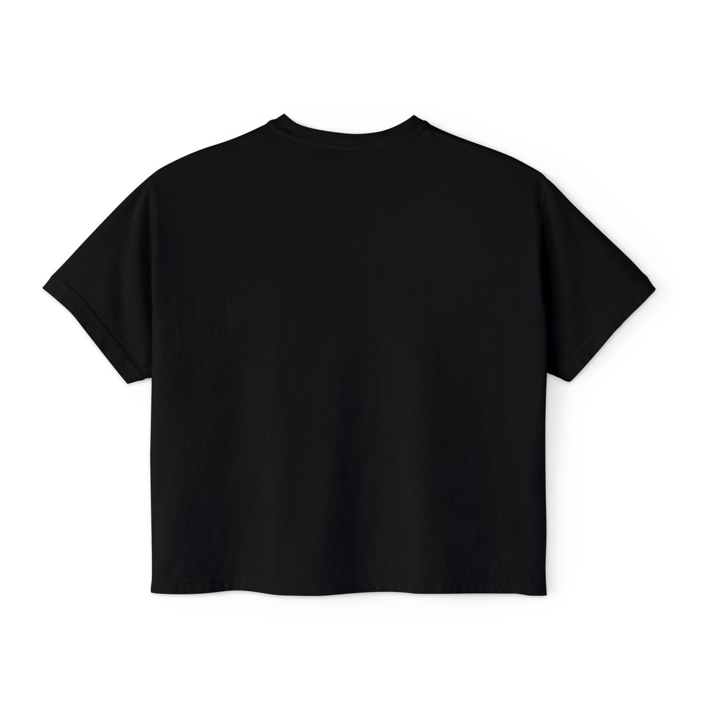 America 250 Years Boxy Tee
